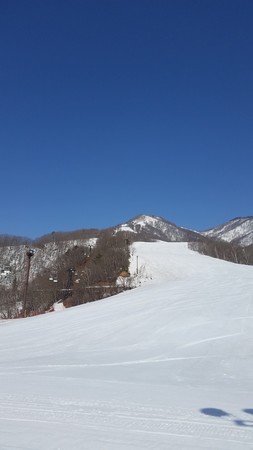 20180328_082933.jpg
