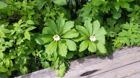 20180713_091546.jpg
