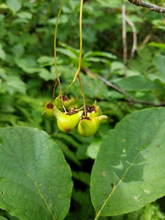 20180817_085622-2872x3829.jpg