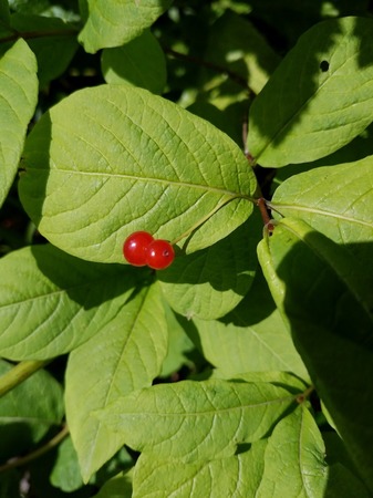 20180817_091311-2872x3829.jpg