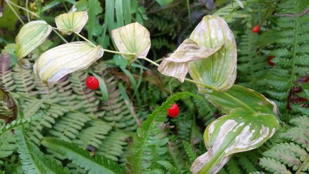20180824_094630.jpg