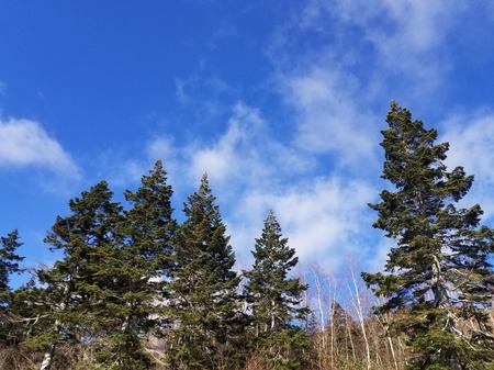 20181026_093126.jpg