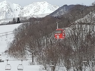 20190225_085926.jpg