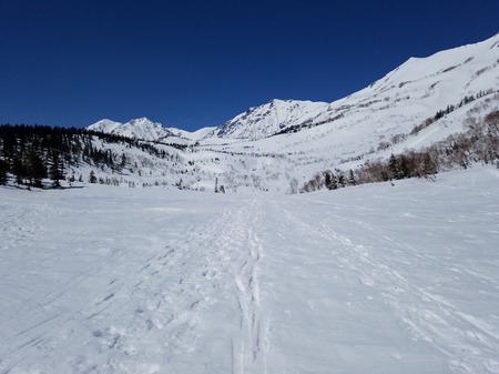 20190418_100302-3628x2721-7faaf.jpg