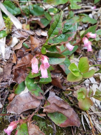 20190621_104402-2721x3628.jpg