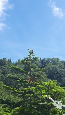 20190806_092956.jpg