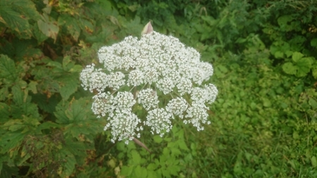 20190905065814104.jpg