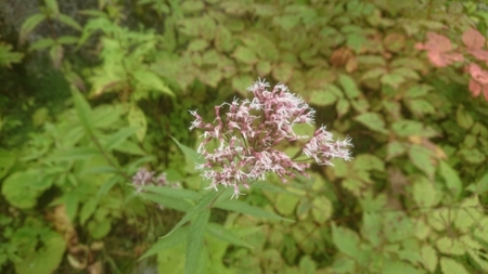 20190905065828268.jpg