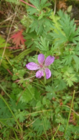 20190905065843044.jpg