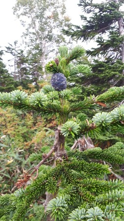 20190917_092538.jpg