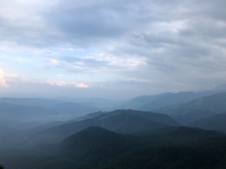238C18FC-28D5-4BEF-AF27-5CDD8900AF0E.jpeg