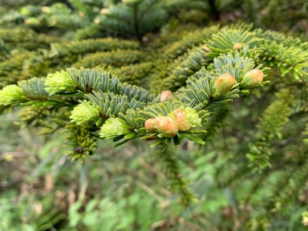 5E695543-2EEA-4281-B783-D72E5247B6CA.jpeg