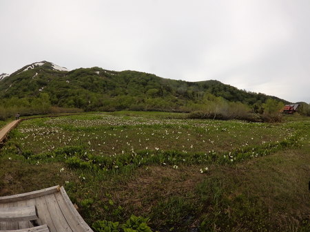 CIMG0528.JPG