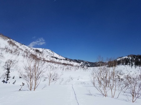 DFA74A00-0382-40EF-8EBC-03205AB4D4ED.jpeg
