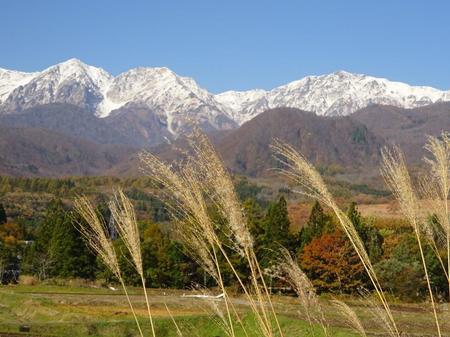 DSC00830.JPG