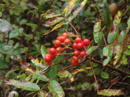 DSCF3156.JPG