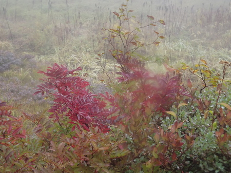 DSCF3163.JPG