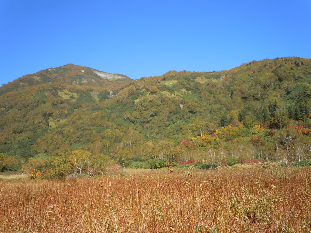 DSCN0357.JPG