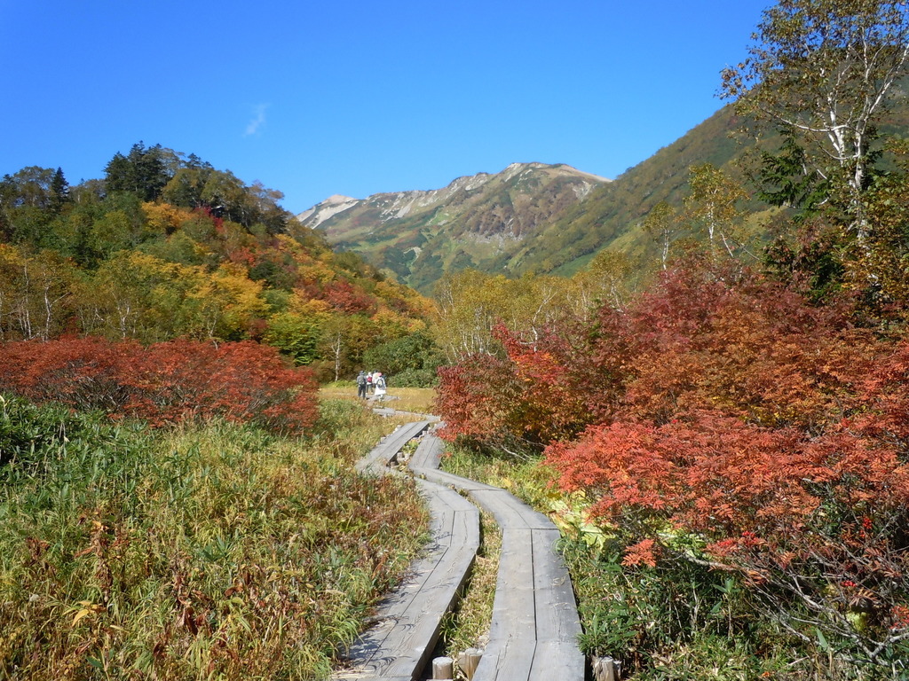 DSCN0364.JPG