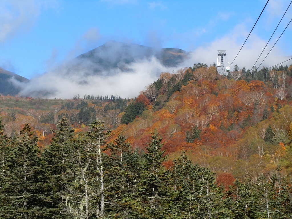 DSCN0375.JPG