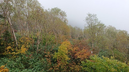 DSC_0015-acf15.JPG