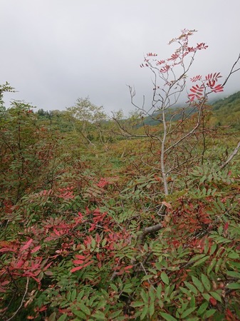 DSC_0099.JPG