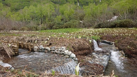 DSC_0152-b7c2c.JPG