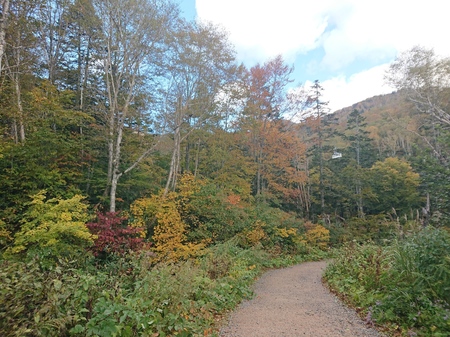 DSC_0155.JPG