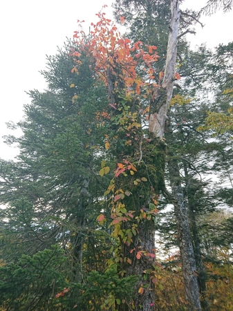 DSC_0160.JPG