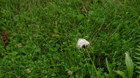 DSC_0234-99ecb.JPG