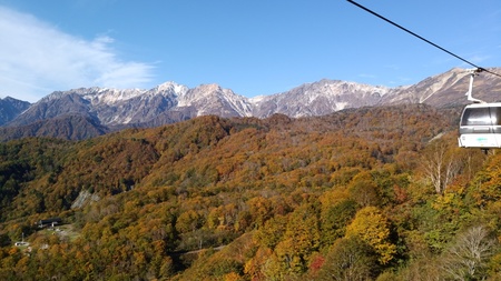 DSC_0767.jpg