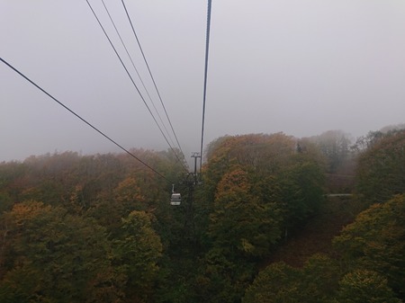 DSC_0813.JPG