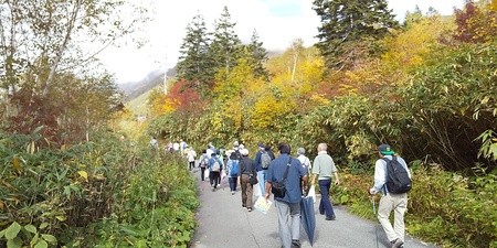 DSC_1572.JPG
