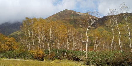DSC_1591.JPG