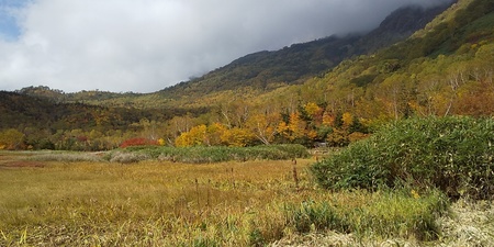 DSC_1594.JPG