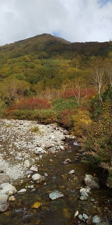 DSC_1605-4f24e.JPG