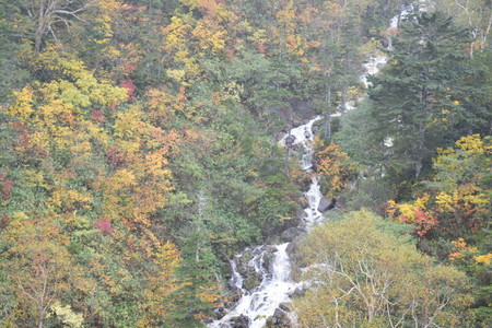 DSC_2833-cf758.JPG