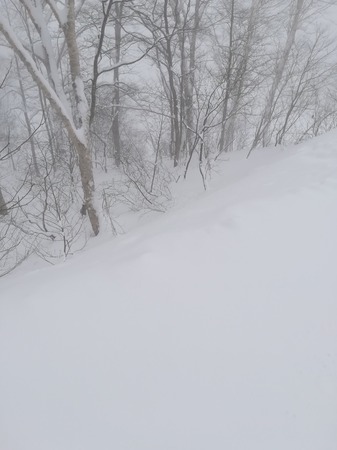 IMG_20190122_101847.jpg