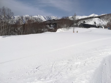 IMG_20190326_080603.jpg