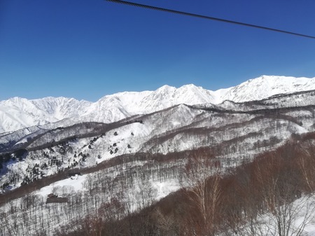 IMG_20190416_092226.jpg