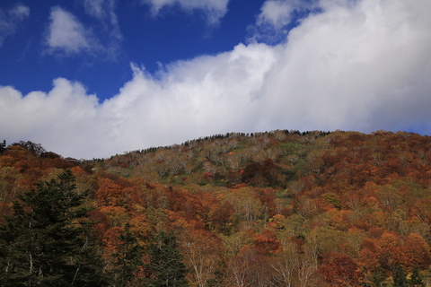 _MG_0417.JPG