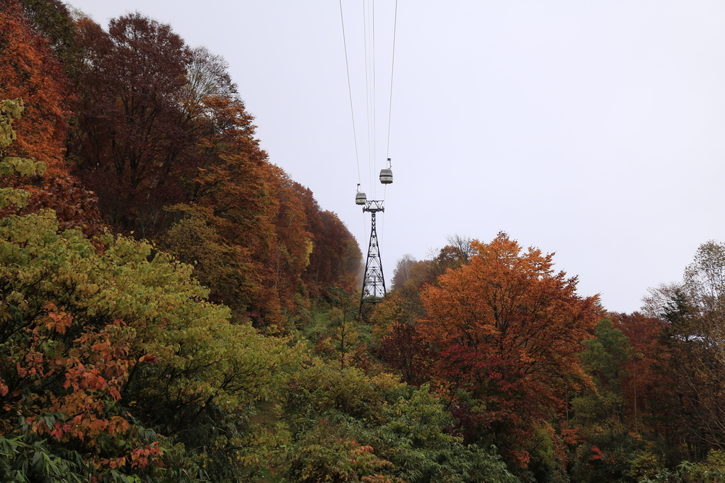 _MG_0621.JPG